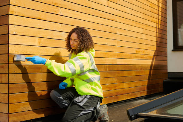 Best Insulated Siding Installation  in Sidy, NE